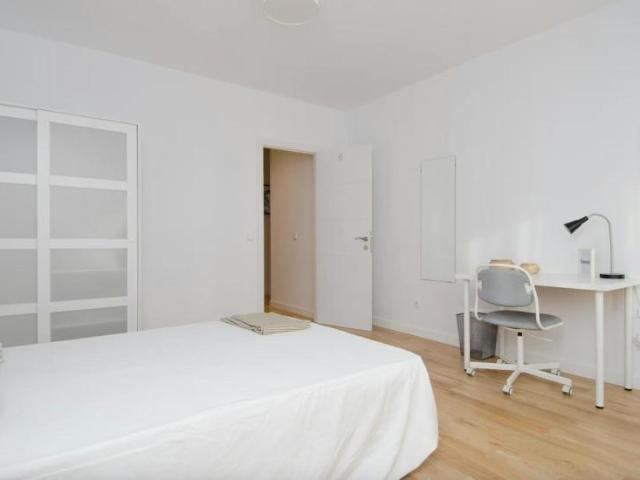 Alquiler 1 Dormitorio Shared Living/Roommate Madrid Madrid DLS101844899