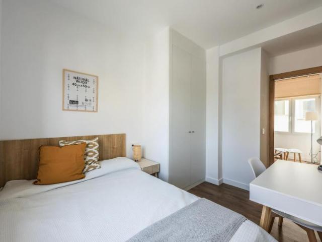 Alquiler 1 Dormitorio Shared Living/Roommate Madrid Madrid DLS101845277