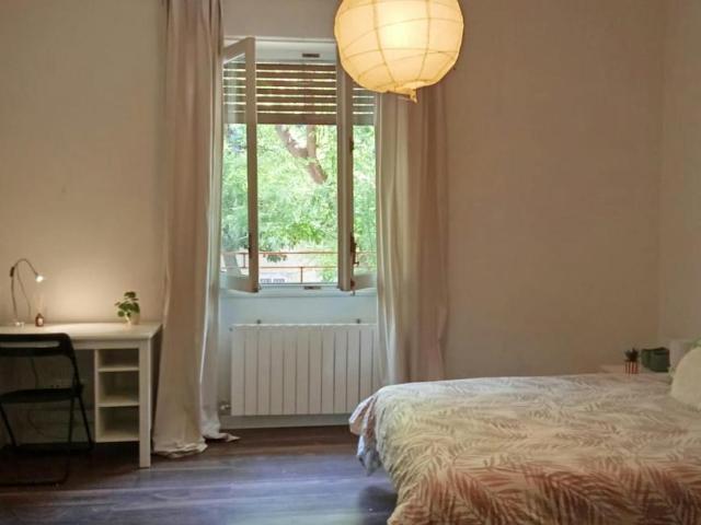 Alquiler 1 Dormitorio Shared Living/Roommate Madrid Madrid DLS101849304