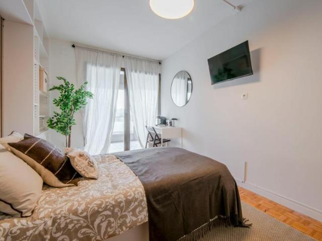 Alquiler 1 Dormitorio Shared Living/Roommate Madrid Madrid DLS101842221