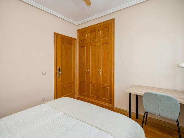 Alquiler 1 Dormitorio Shared Living/Roommate Madrid Madrid DLS101843757