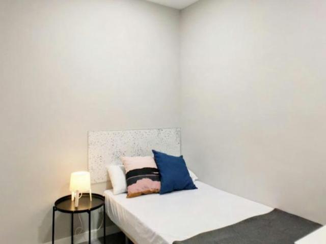 Alquiler 1 Dormitorio Shared Living/Roommate Madrid Madrid DLS102020775