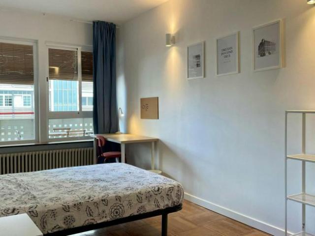 Alquiler 1 Dormitorio Shared Living/Roommate Madrid Madrid DLS102246334