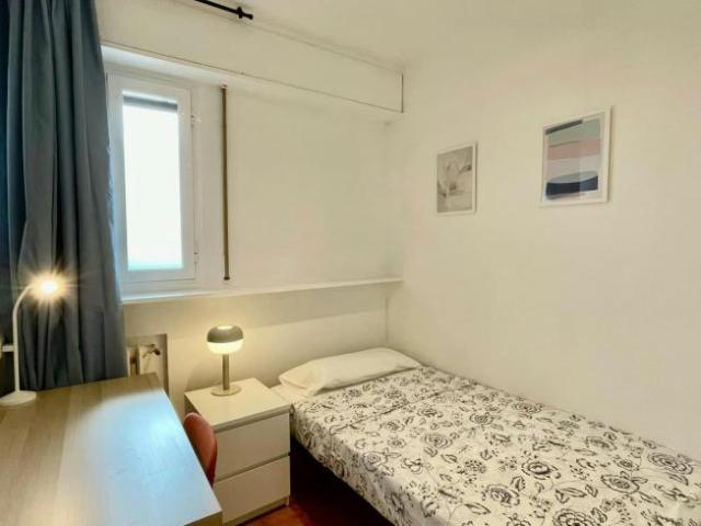 Alquiler 1 Dormitorio Shared Living/Roommate Madrid Madrid DLS102246350
