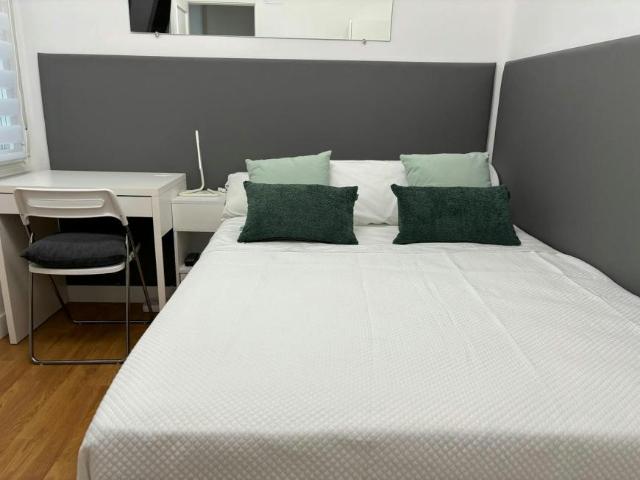Alquiler 1 Dormitorio Shared Living/Roommate Madrid Madrid DLS102246484
