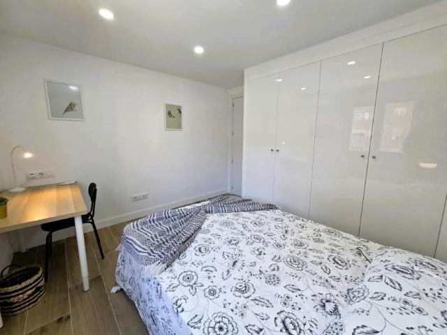 Alquiler 1 Dormitorio Shared Living/Roommate Madrid Madrid DLS102246495