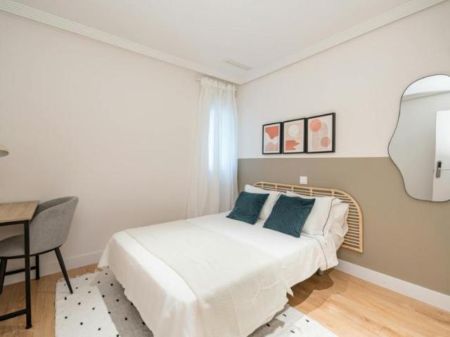 Alquiler 1 Dormitorio Shared Living/Roommate Madrid Madrid DLS102367455
