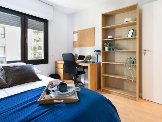 Alquiler 1 Dormitorio Shared Living/Roommate Madrid Madrid DLS102814236