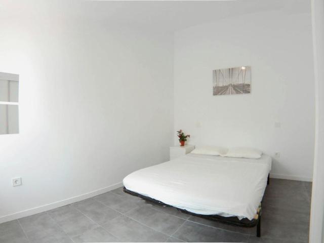 Alquiler 1 Dormitorio Shared Living/Roommate Madrid Madrid DLS102815714
