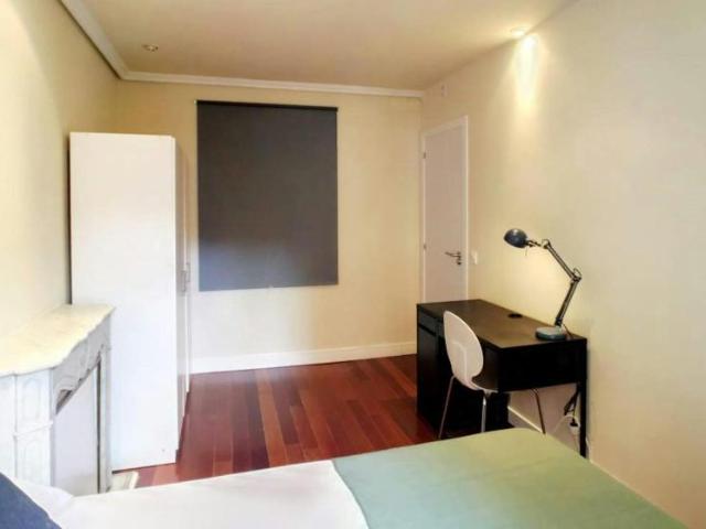 Alquiler 1 Dormitorio Shared Living/Roommate Madrid Madrid DLS102816774