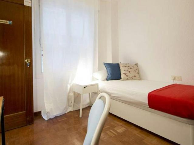 Alquiler 1 Dormitorio Shared Living/Roommate Madrid Madrid DLS102816784