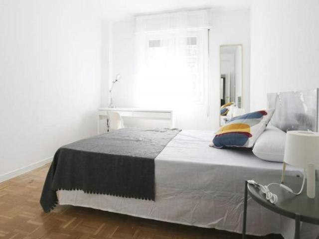 Alquiler 1 Dormitorio Shared Living/Roommate Madrid Madrid DLS102816907