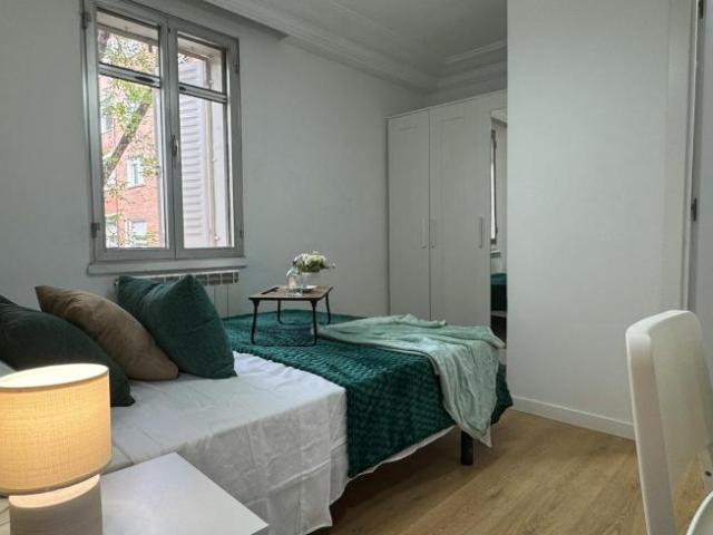 Alquiler 1 Dormitorio Shared Living/Roommate Madrid Madrid DLS102813295