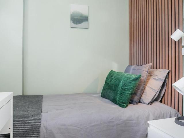Alquiler 1 Dormitorio Shared Living/Roommate Madrid Madrid DLS102813417