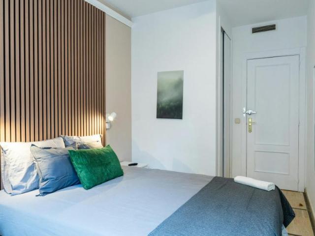 Alquiler 1 Dormitorio Shared Living/Roommate Madrid Madrid DLS102813434