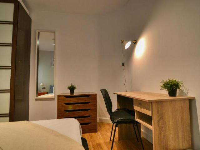 Alquiler 1 Dormitorio Shared Living/Roommate Madrid Madrid DLS102813432
