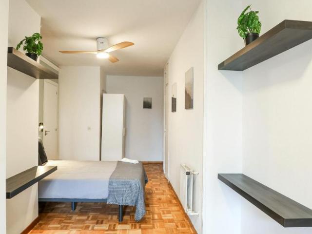 Alquiler 1 Dormitorio Shared Living/Roommate Madrid Madrid DLS102813458