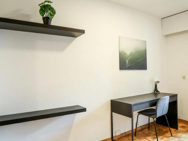 Alquiler 1 Dormitorio Shared Living/Roommate Madrid Madrid DLS102813499