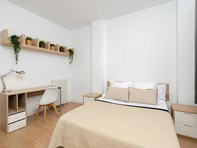 Alquiler 1 Dormitorio Shared Living/Roommate Madrid Madrid DLS102854052