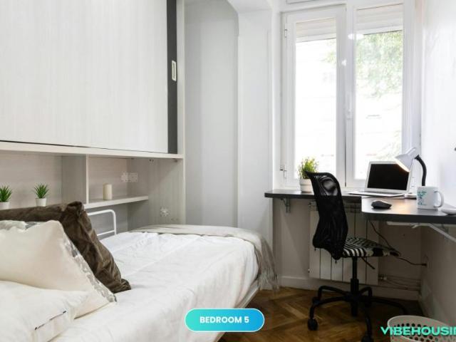 Alquiler 1 Dormitorio Shared Living/Roommate Madrid Madrid DLS102850376
