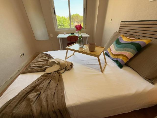 Alquiler 1 Dormitorio Shared Living/Roommate Madrid Madrid DLS102850501