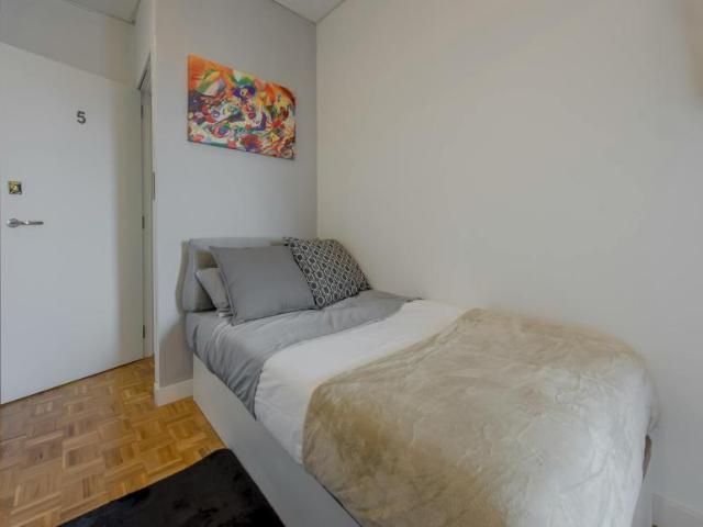 Alquiler 1 Dormitorio Shared Living/Roommate Madrid Madrid DLS102853569