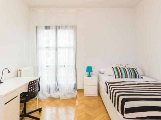 Alquiler 1 Dormitorio Shared Living/Roommate Madrid Madrid DLS102885668