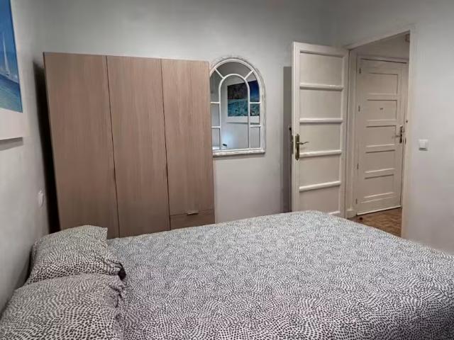 Alquiler 1 Dormitorio Shared Living/Roommate Madrid Madrid DLS95918706