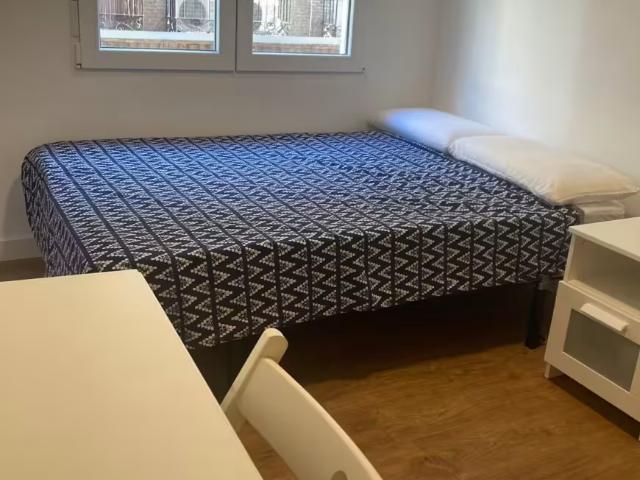 Alquiler 1 Dormitorio Shared Living/Roommate Madrid Madrid DLS95918810