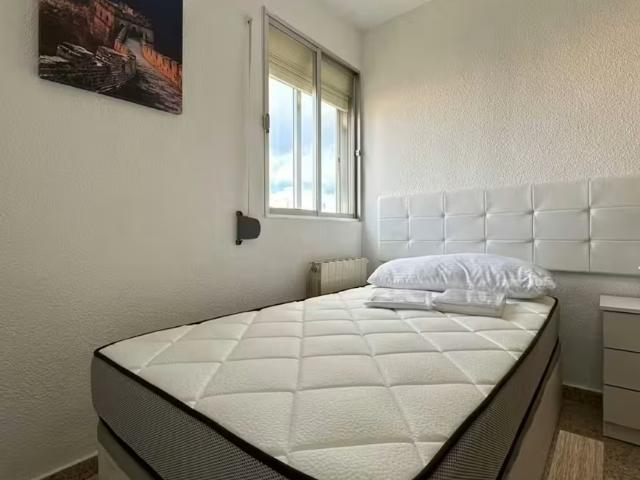 Alquiler 1 Dormitorio Shared Living/Roommate Madrid Madrid DLS96742571