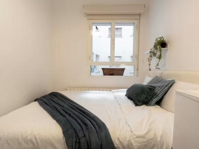 Alquiler 1 Dormitorio Shared Living/Roommate Madrid Madrid DLS97085315