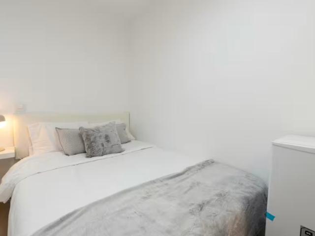 Alquiler 1 Dormitorio Shared Living/Roommate Madrid Madrid DLS97085316