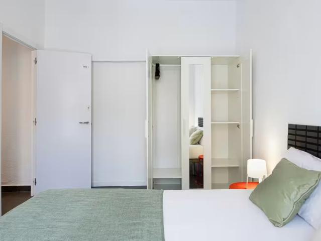 Alquiler 1 Dormitorio Shared Living/Roommate Madrid Madrid DLS98497622