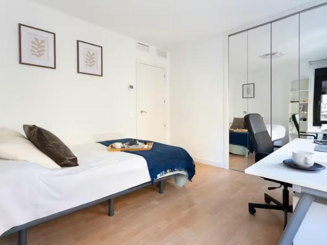 Alquiler 1 Dormitorio Shared Living/Roommate Madrid Madrid DLS98538101