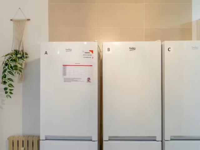 Alquiler 1 Dormitorio Shared Living/Roommate Madrid Madrid DLS98539673