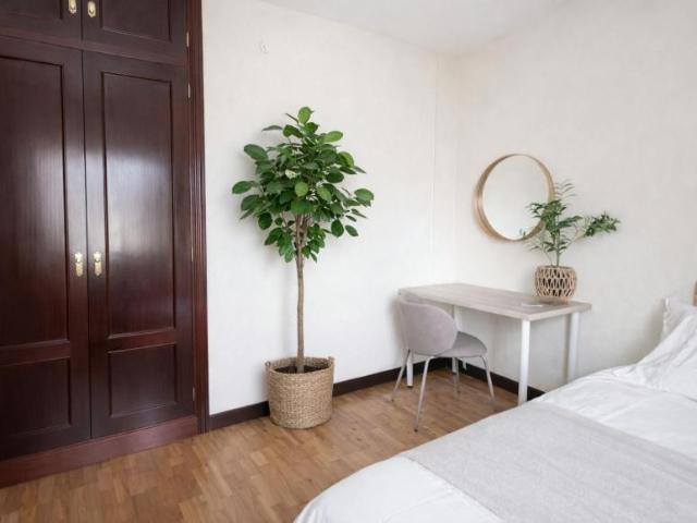 Alquiler 1 Dormitorio Shared Living/Roommate Madrid Madrid DLS99562143