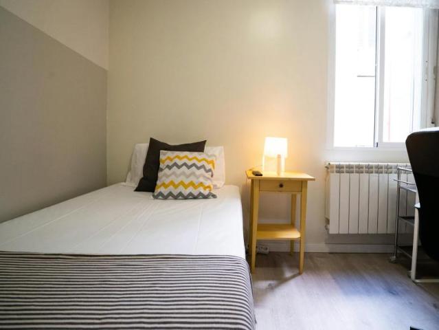 Alquiler 1 Dormitorio Shared Living/Roommate Madrid Madrid DLS99636899