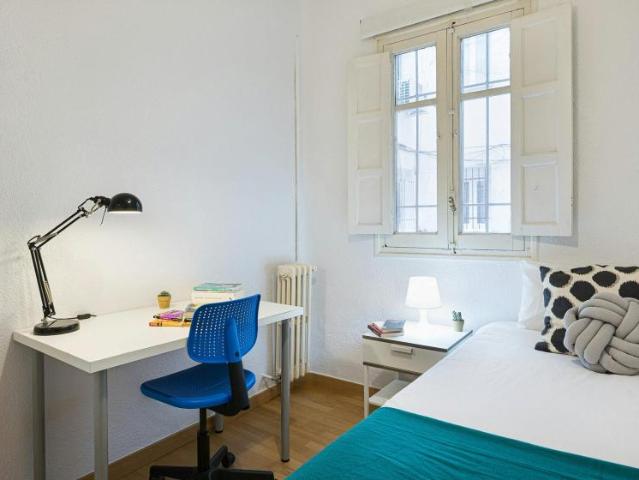 Alquiler 1 Dormitorio Shared Living/Roommate Madrid Madrid DLS99636924