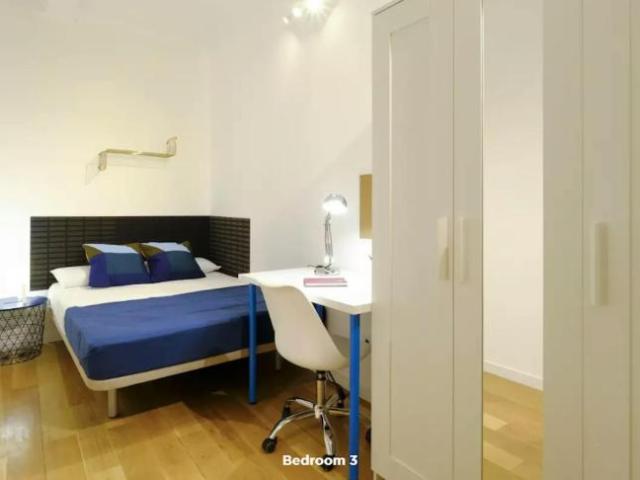 Alquiler 1 Dormitorio Shared Living/Roommate Madrid Madrid DLS99637120