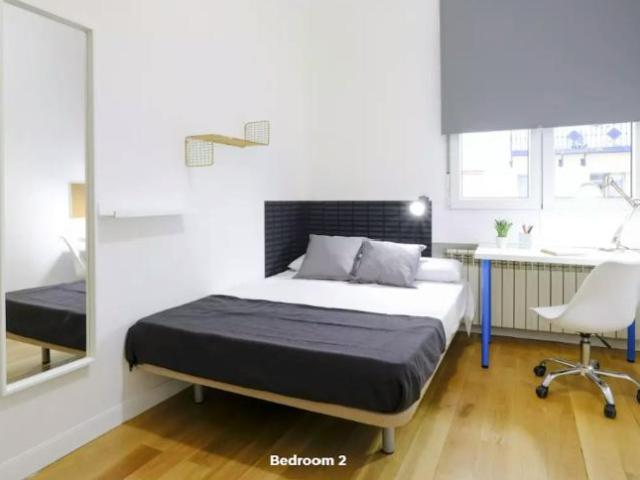 Alquiler 1 Dormitorio Shared Living/Roommate Madrid Madrid DLS99637122