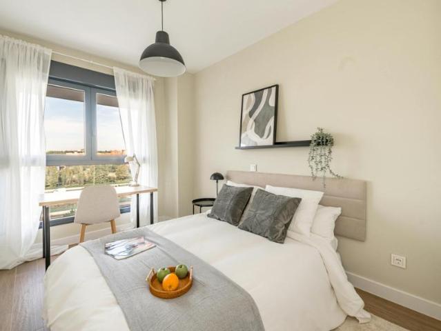 Alquiler 1 Dormitorio Shared Living/Roommate Madrid Madrid DLS99687791