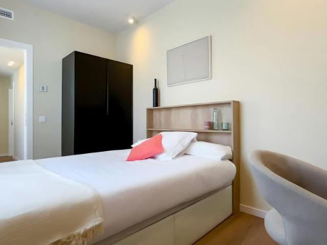 Alquiler 1 Dormitorio Shared Living/Roommate Madrid Madrid DLS99687934
