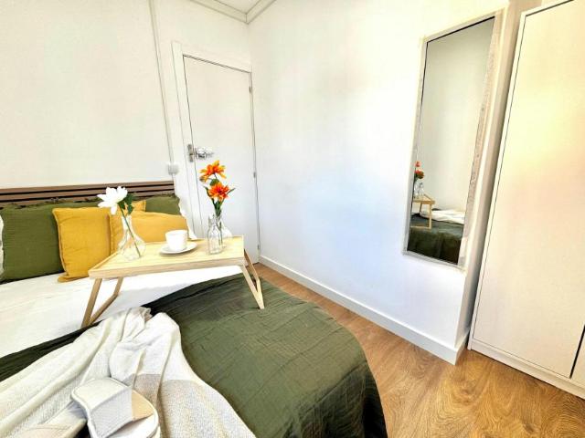 Alquiler 1 Dormitorio Shared Living/Roommate Madrid Madrid DLS99047827
