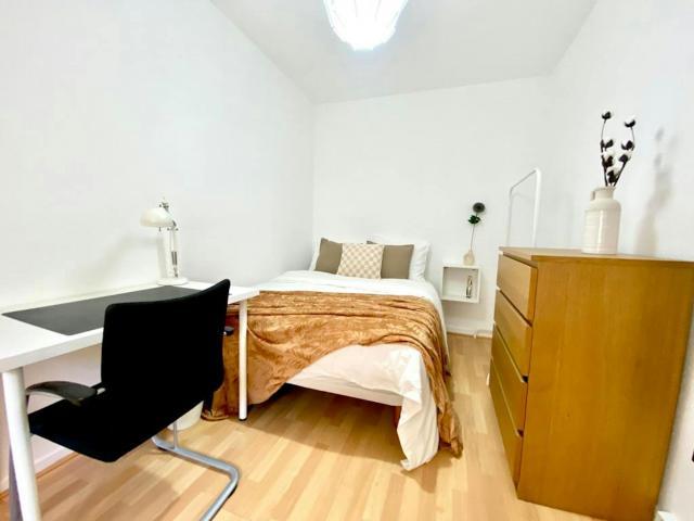Alquiler 1 Dormitorio Shared Living/Roommate Madrid Madrid DS77762133