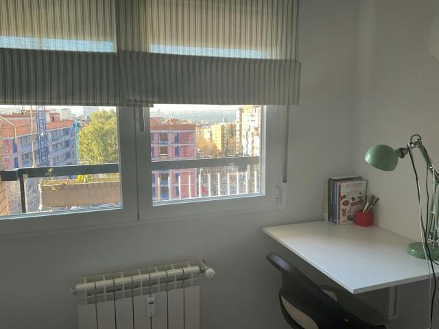 Alquiler 1 Dormitorio Shared Living/Roommate Madrid Madrid DS87358834