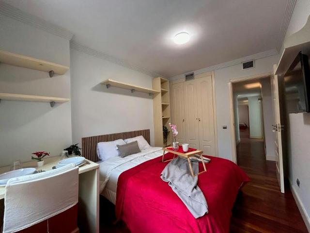 Alquiler 1 Dormitorio Shared Living/Roommate Madrid Madrid DS94693771