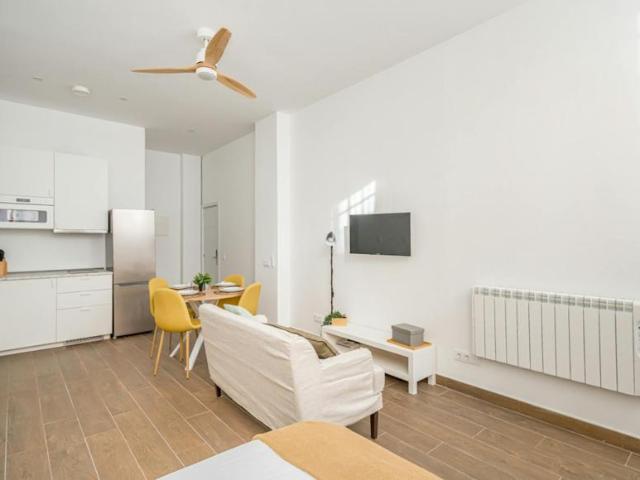 Alquiler 1 Dormitorio Shared Living/Roommate Madrid Madrid DS94993800