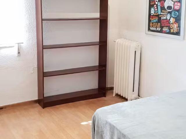 Alquiler 1 Dormitorio Shared Living/Roommate Madrid Madrid DS95921293