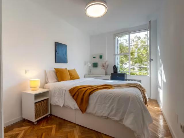 Alquiler 1 Dormitorio Shared Living/Roommate Madrid Madrid DS96654651