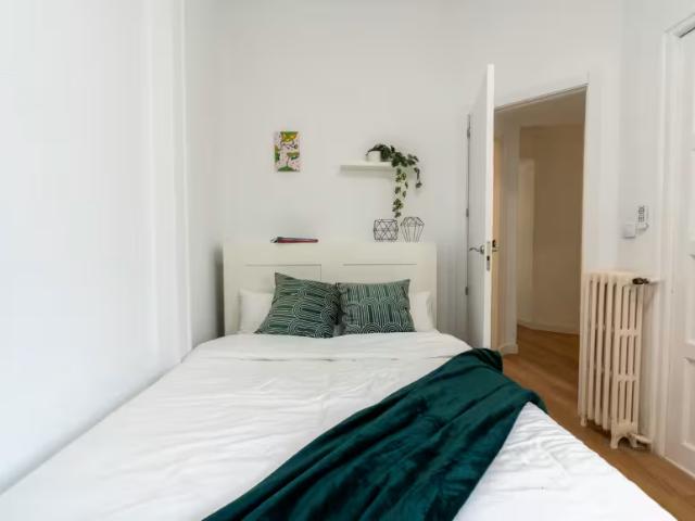 Alquiler 1 Dormitorio Shared Living/Roommate Madrid Madrid DS97052593